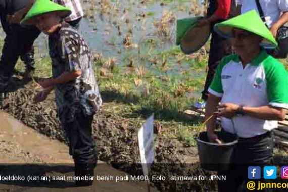 Cawapres Jokowi Harus yang Mumpuni di Sektor Pertanian - JPNN.COM