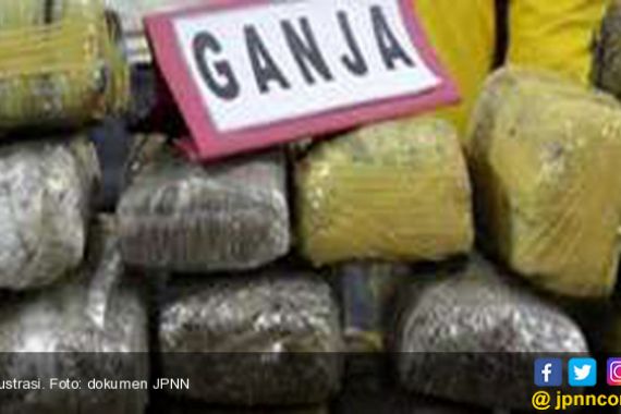 Gudang Ganja 144 Kilogram di Bandarlampung Digerebek Polisi - JPNN.COM