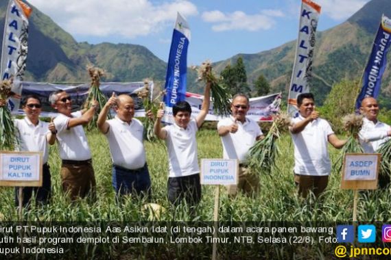 Pupuk Indonesia Genjot Semangat Petani Bawang Sembalun Lewat Demplot - JPNN.COM