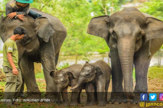 Lewat Camping, Lampung Timur Gerakkan Pariwisata - JPNN.COM