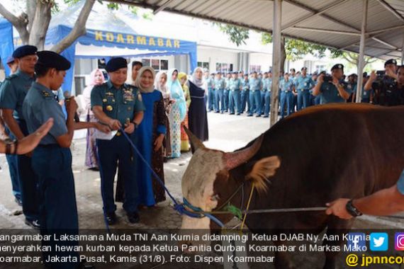 Laksda TNI Aan Kurnia Serahkan Hewan Kurban di Markas Koarmabar - JPNN.COM