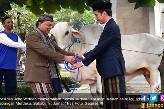 Usai Salat Iduladha, Jokowi Serahkan Sapi Kurban - JPNN.COM