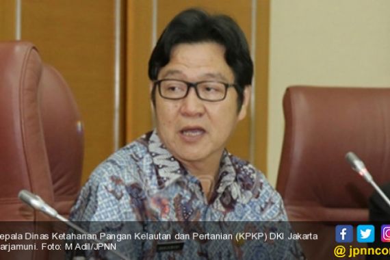 Pemprov Klaim Semua Hewan Kurban di Jakarta Aman Dikonsumsi - JPNN.COM