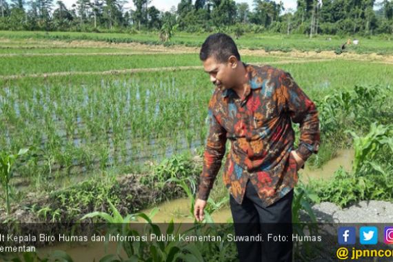 Kebijakan Mentan Selamatkan Jutaan Petani - JPNN.COM