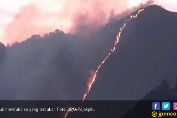 Puluhan Hektar Padang Teletubbies Terbakar - JPNN.COM