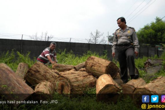 Pembalakan Liar Bikin Rusak Hutan Seruyan - JPNN.COM