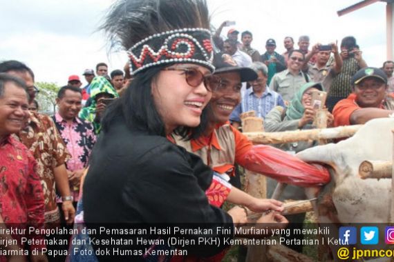 Papua Diminta Terus Tingkatkan Populasi Sapi Potong - JPNN.COM