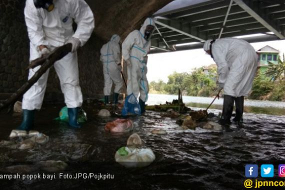  Ikan di Kali Surabaya Tercemar Mikroplastik Popok Bayi - JPNN.COM