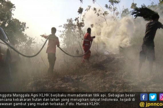 PP Gambut Lindungi Rakyat Indonesia dari Bencana Karhutla - JPNN.COM