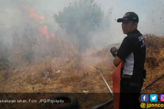 Gara-Gara Dua Puntung Rokok, 42 Hektar Lahan Terbakar - JPNN.COM