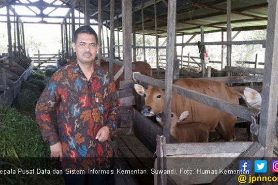 Neraca Perdagangan Komoditas Pertanian Mengalami Surplus - JPNN.COM