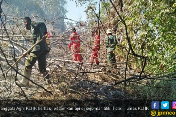  Manggala Agni Berhasil Padamkan Api di Kalimantan - JPNN.COM