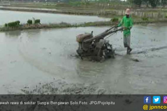 Berkah Untuk Petani dari Bengawan Solo - JPNN.COM