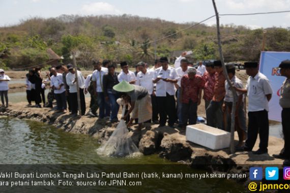 Penghasilan Petambak di Lombok Tengah Bisa 20 Juta per Bulan - JPNN.COM