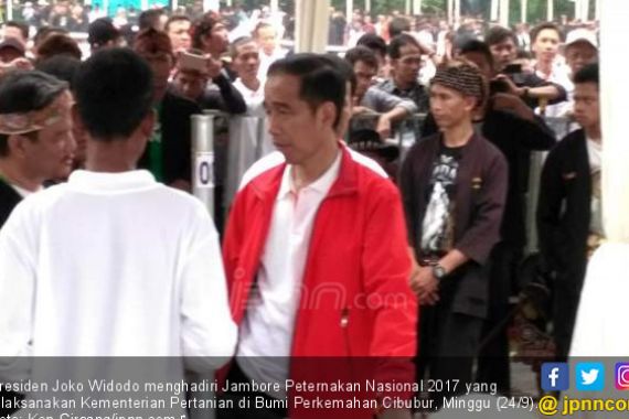 Presiden Jokowi: Pelihara Kambing Banyak Semakin Mudah - JPNN.COM