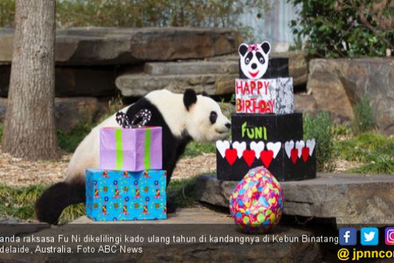 Tiongkok Usut Kematian Panda Chuang Chuang di Thailand - JPNN.COM