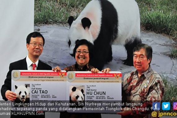 Tanda Persahabatan, Tiongkok Datangkan Panda ke Indonesia - JPNN.COM