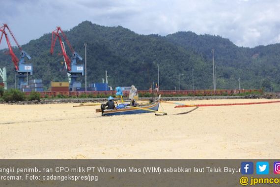 Tumpahan CPO PT WIM sudah Mengendap di Pasir Teluk Bayur - JPNN.COM