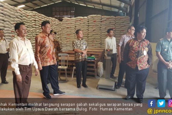 Mentan Optimis Tim Sergap Bakal Efektif Serap Gabah - JPNN.COM