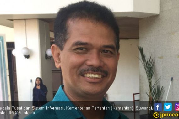 Neraca Perdagangan Surplus, Indonesia Tak Impor Beras Medium - JPNN.COM