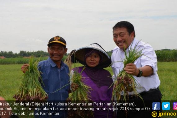 Tiga Prioritas Pengembangan Hortikultura 2018 Harus Sukses - JPNN.COM