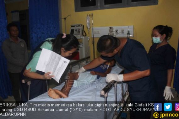 Usai Gigit Bocah, Anjing Dibunuh Lalu Dimakan Warga - JPNN.COM