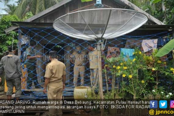 Teror Buaya Menggila, BKSDA Pasang Jaring di Rumah Warga - JPNN.COM