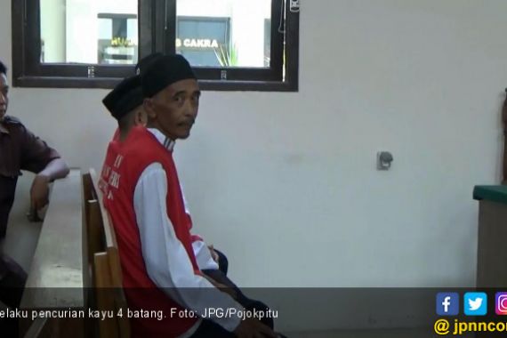 Satu Keluarga Diadili Karena Curi 4 Batang Kayu - JPNN.COM