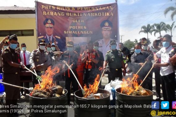 Polres Simalungun Musnahkan 165 Kg Ganja - JPNN.COM