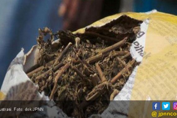 Siswa Jadi Kurir 84 Kg Ganja untuk Biayai Pengobatan Ayahnya - JPNN.COM