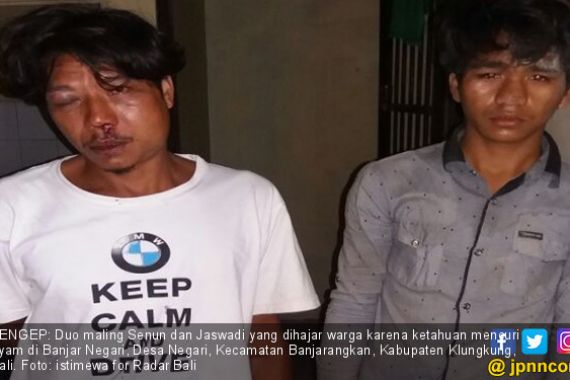 Curi Ayam Tidur, Duet Maling Babak Belur - JPNN.COM