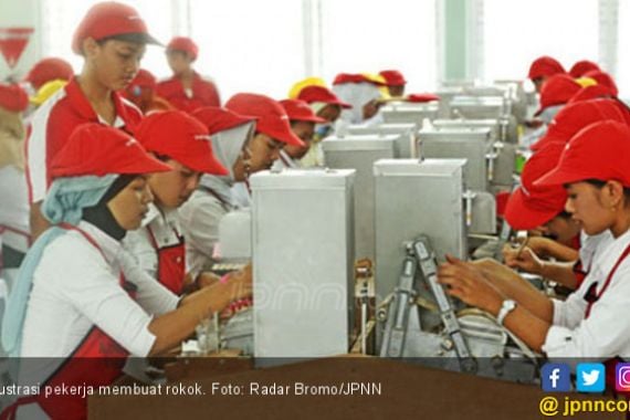 Hanya 10 Persen Pabrik Rokok Mampu Bertahan - JPNN.COM