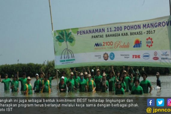 Peduli Lingkungan, BEST Tanam 11.200 Pohon Mangrove - JPNN.COM