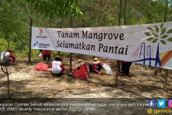 Kunjungan Wisata ke Hutan Mangrove tak Terdampak Tumpahan Minyak - JPNN.COM