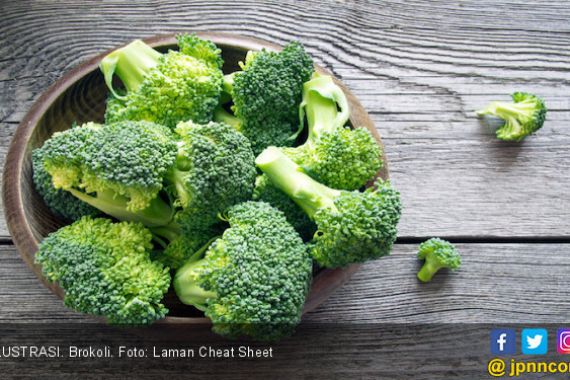 5 Manfaat Brokoli yang Tidak Terduga - JPNN.COM