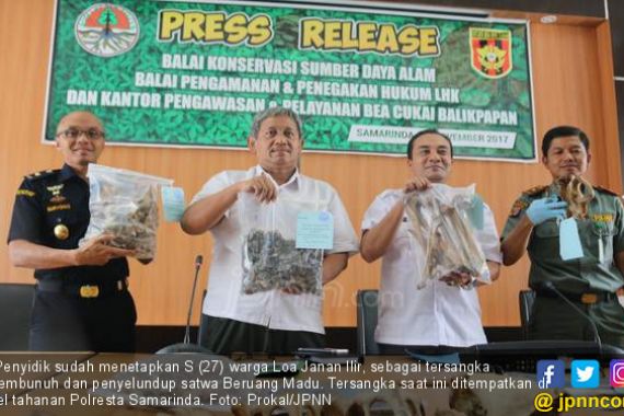 55 Beruang Madu Dibunuh Lalu Dijadikan Kosmetik - JPNN.COM