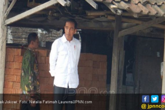 Jokowi Minta Setya Novanto Ikuti Proses Hukum - JPNN.COM