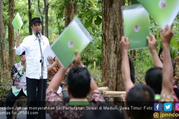 Bagikan SK Perhutanan Sosial, Jokowi dan Petani Satu Ikrar - JPNN.COM