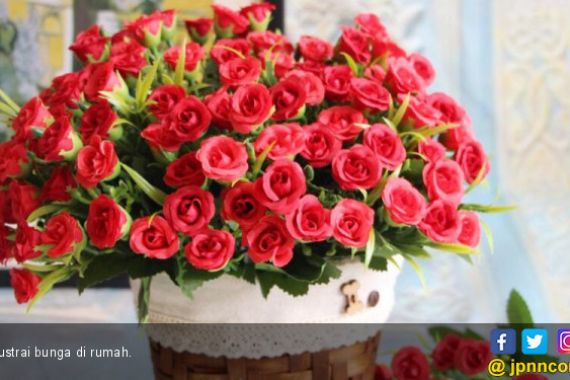 Tips Menjaga Bunga Agar Segar Lebih Lama   - JPNN.COM