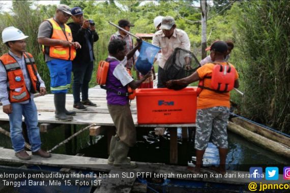 Lewat Budi Daya Ikan Nila, Freeport Dukung Petani Lokal - JPNN.COM