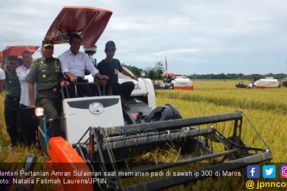 Panen Perdana Padi IP 300, Maros Bangkit untuk Sulsel - JPNN.COM