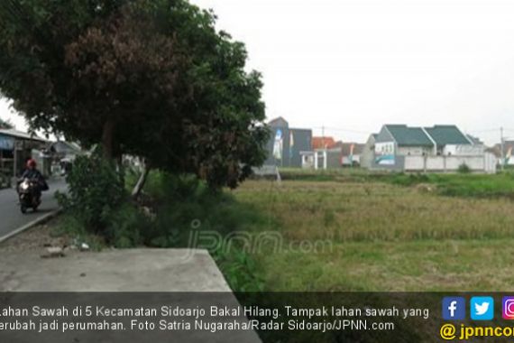  Lahan Sawah di 5 Kecamatan Sidoarjo Bakal Hilang - JPNN.COM