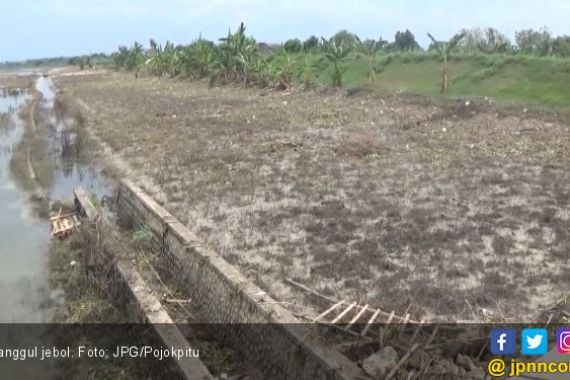 Tanggul Bengawan Solo Jebol Parah, Belum Diperbaiki - JPNN.COM