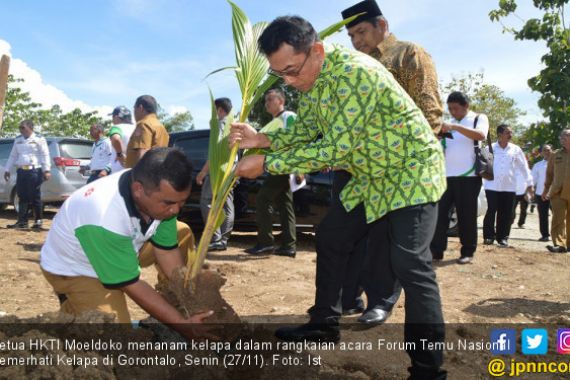 HKTI: Indonesia Akan Jadi Produsen Kelapa Terbesar Dunia - JPNN.COM