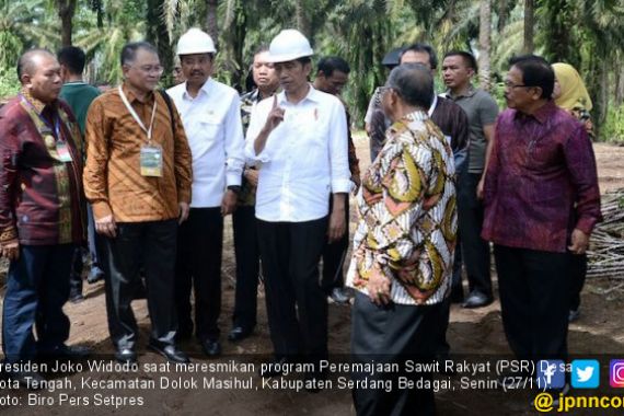 Jokowi Pengin Indonesia Bisa Terdepan soal Pengelolaan Sawit - JPNN.COM