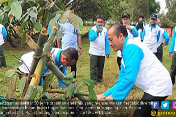 Miniatur Hutan Hijaukan Bandara Soekarno Hatta - JPNN.COM