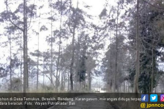 Hutan di Lereng Gunung Agung Mengering, Hewan Mulai Turun - JPNN.COM