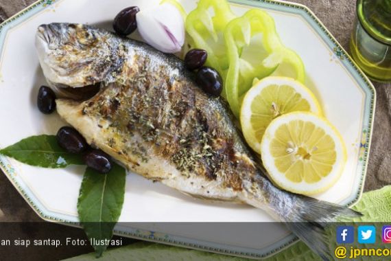 Ketahui 6 Manfaat Makan Ikan untuk Kesehatan   - JPNN.COM