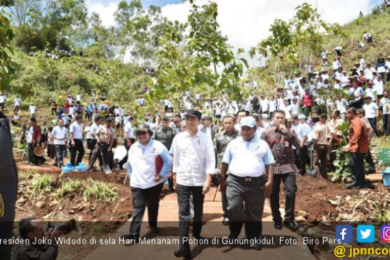 Jokowi Pertanyakan Hasil Program Menanam Satu Miliar Pohon - JPNN.COM