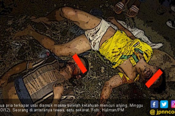 Pencuri Anjing di Deliserdang Tewas Diamuk Massa - JPNN.COM